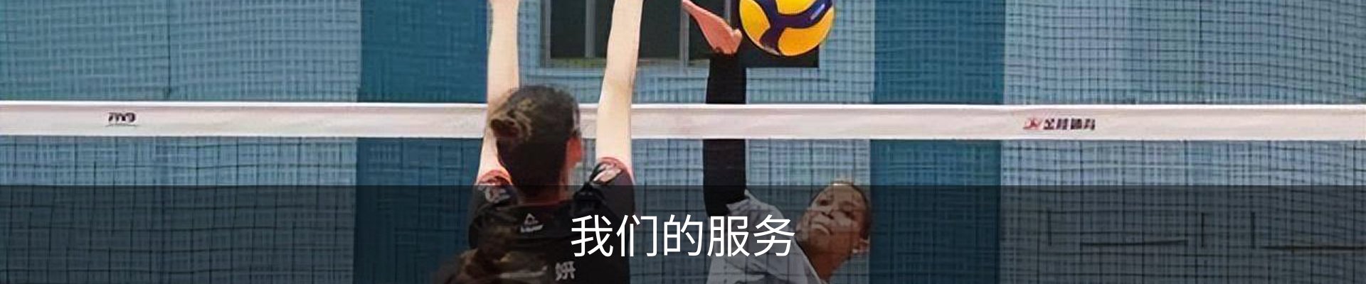 我们的服务